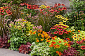 Rote Stauden 'Happy Red Border'