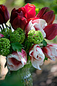 Gemischte Tulpen in Vase