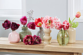 Verschiedene Tulpen (Tulipa) in kleinen Vasen