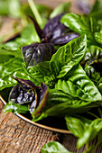 Mixed herbs, basil