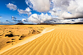 Sanddünen der Wüste von der hellen Sonne beleuchtet, Corralejo Naturpark, Fuerteventura, Kanarische Inseln, Spanien, Atlantik, Europa