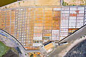 Verdunstungsteiche der Salinen von Salinas Del Carmen von oben, Luftaufnahme, Fuerteventura, Kanarische Inseln, Spanien, Atlantik, Europa