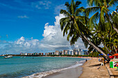 Palm fringed beach, Maceio, Alagoas, Brazil, South America
