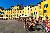 Essen und Trinken im Freien, Piazza dell'Anfiteatro, Lucca, Toskana, Italien, Europa