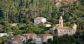 Panoramablick auf das Dorf in seiner Waldumgebung, Abend, Feliceto, L'Ile-Rousse Balagne, Haute-Corse, Korsika, Frankreich, Mittelmeer, Europa