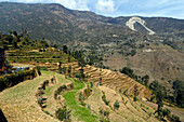 Bergiges Dorf und traditionelle Landwirtschaft, Lapilang, Dolakha, Nepal, Asien