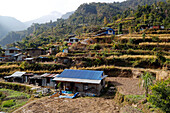 Mountainous village and traditional agriculture, Lapilang, Dolakha, Nepal, Asia