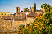 Blick auf Orangenbäume in der Nähe des Performing Arts Theatre in der Altstadt von Arta, Arta, Mallorca, Balearen, Spanien, Mittelmeer, Europa