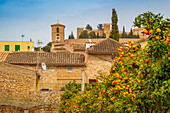 View of orange trees near Performing Arts Theatre in old town Arta, Arta, Majorca, Balearic Islands, Spain, Mediterranean, Europe