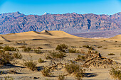 Mesquite Flat Sand Dunes, Death Valley, California, United States of America, North America
