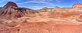 Die Talsohle des Red Forest im Petrified Forest National Park, Arizona, Vereinigte Staaten von Amerika, Nordamerika