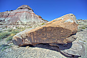 Alte indianische Petroglyphen auf einem Felsblock in der Nähe von Martha's Butte im Petrified Forest National Park, Arizona, Vereinigte Staaten von Amerika, Nordamerika