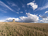 Windmill in a cropped field with a blue sky with white clouds, Normandy, France, Europe