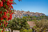 Panoramablick auf weiß getünchte Häuser und Dächer, Frigiliana, Provinz Malaga, Andalusien, Spanien, Mittelmeer, Europa