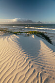 Blouberg Beach, Cape Town, Western Cape, South Africa, Africa