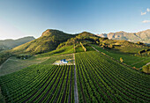 Aerial view of wine vineyards near Franschhoek, Western Cape, South Africa, Africa