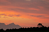 Sonnenuntergang über dem Tafelberg, Stellenbosch, Westkap, Südafrika, Afrika
