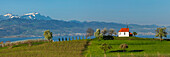 Antoniuskapelle mit Bodensee und Schweizer Alpen mit Santis, 2502m, Wasserburg, Oberschwaben, Baden Württemberg, Deutschland, Europa