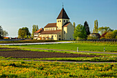 Kirche St. Georg, Oberzell, UNESCO Weltkulturerbe, Insel Reichenau, Bodensee, Baden Württemberg, Deutschland, Europa