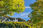 Schloss Neuschwanstein, Schwangau, Allgäu, Bayern, Deutschland, Europa