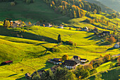 Munstertal, Südschwarzwald, Baden-Württemberg, Deutschland, Europa