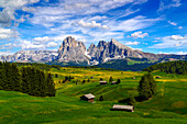 Mountain huts in the green pastures at foot of Sassolungo and Sassopiatto in spring, Seiser Alm, Dolomites, South Tyrol, Italy, Europe