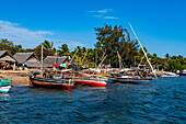 Dhows im Hafen von Shela, Insel Lamu, Shela, Kenia, Ostafrika, Afrika