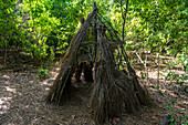Tribal dwelling, Kaya Kinondo Sacred Forest, UNESCO World Heritage Site, Diani Beach, Kenya, East Africa, Africa
