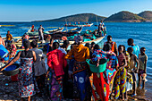 Fischer bringen ihren morgendlichen Fang zum Markt, Mpulungu, Tanganjikasee, Sambia, Afrika