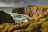 Dramatische Klippenlandschaft bei Padstow an der Nordküste von Cornwall, England, Vereinigtes Königreich, Europa