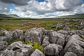 Ribblehead Viaduct in the Yorkshire Dales National Park, North Yorkshire, England, United Kingdom, Europe