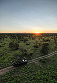 Sunset over Safari drive in Timbavati Private Nature Reserve, Kruger National Park, South Africa, Africa