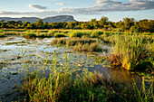 Landschaft in Marataba, Marakele-Nationalpark, Südafrika, Afrika