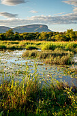 Landschaft in Marataba, Marakele-Nationalpark, Südafrika, Afrika