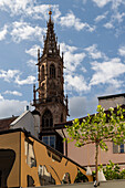 Bozen Cathedral, Bozen, Sud Tirol, Alto Adige, Italy, Europe