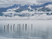 Old pilings in Resurrection Bay, gateway to the Kenai Fjords in Kenai Fjords National Park, Alaska, United States of America, North America