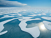 Melt water pools in the 10/10ths pack ice in McClintock Channel, Northwest Passage, Nunavut, Canada, North America