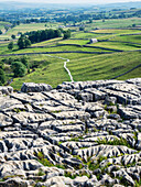 Kalksteinpflaster, Malham Cove, Yorkshire Dales National Park, North Yorkshire, England, Vereinigtes Königreich, Europa