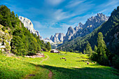 Dolomites, Canali valley, Tonadico, Trentino, Italy, Europe