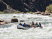 Commercial oar boat runs the Deubendorff Rapid, just past river mile 132, Grand Canyon National Park, Arizona, United States of America, North America