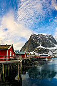 Stilt houses with grass roof in the small harbour of Reine, Lofoten Islands, Nordland county, Norway, Scandinavia, Europe
