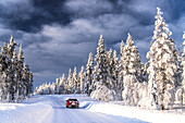 Car traveling on slippery road surrounded by snow covered trees in a frozen forest, Kangos, Norrbotten County, Lapland, Sweden, Scandinavia, Europe