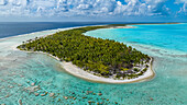Aerial of a white coral beach, Anaa atoll, Tuamotu archipelago, French Polynesia, South Pacific, Pacific