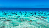 Aerial, Hikueru lagoon, Tuamotu archipelago, French Polynesia, South Pacific, Pacific