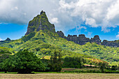 Rugged peak, Moorea (Mo'orea), Society Islands, French Polynesia, South Pacific, Pacific