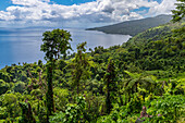 Blick über die Küstenlinie von Taveuni, Fidschi, Südpazifik, Pazifik