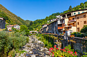 Fabbriche di Vallico, 14th century pedestrian bridge, Turrite Cava stream, Garfagnana, Tuscany, Italy, Europe