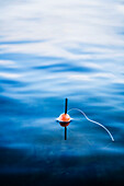 Fishing float in water