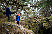 Boys walking through forest
