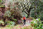 Frau fährt mit dem Mountainbike durch den Wald